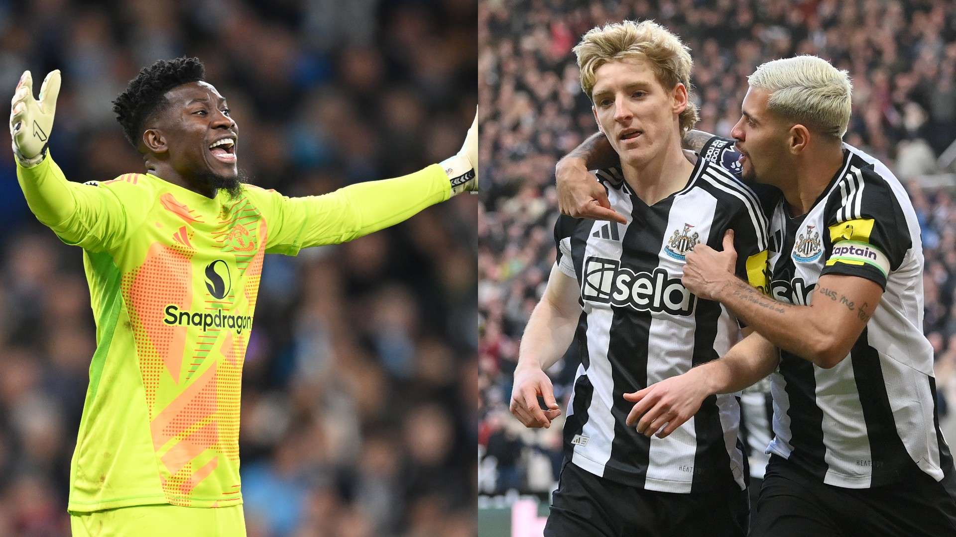 在选拔时既 在选拔时既