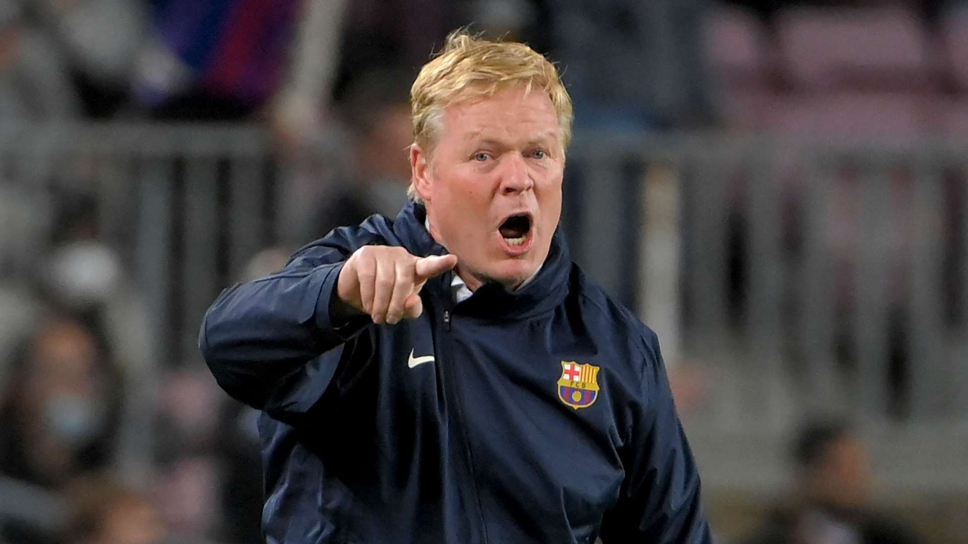 的灵活性 的灵活性