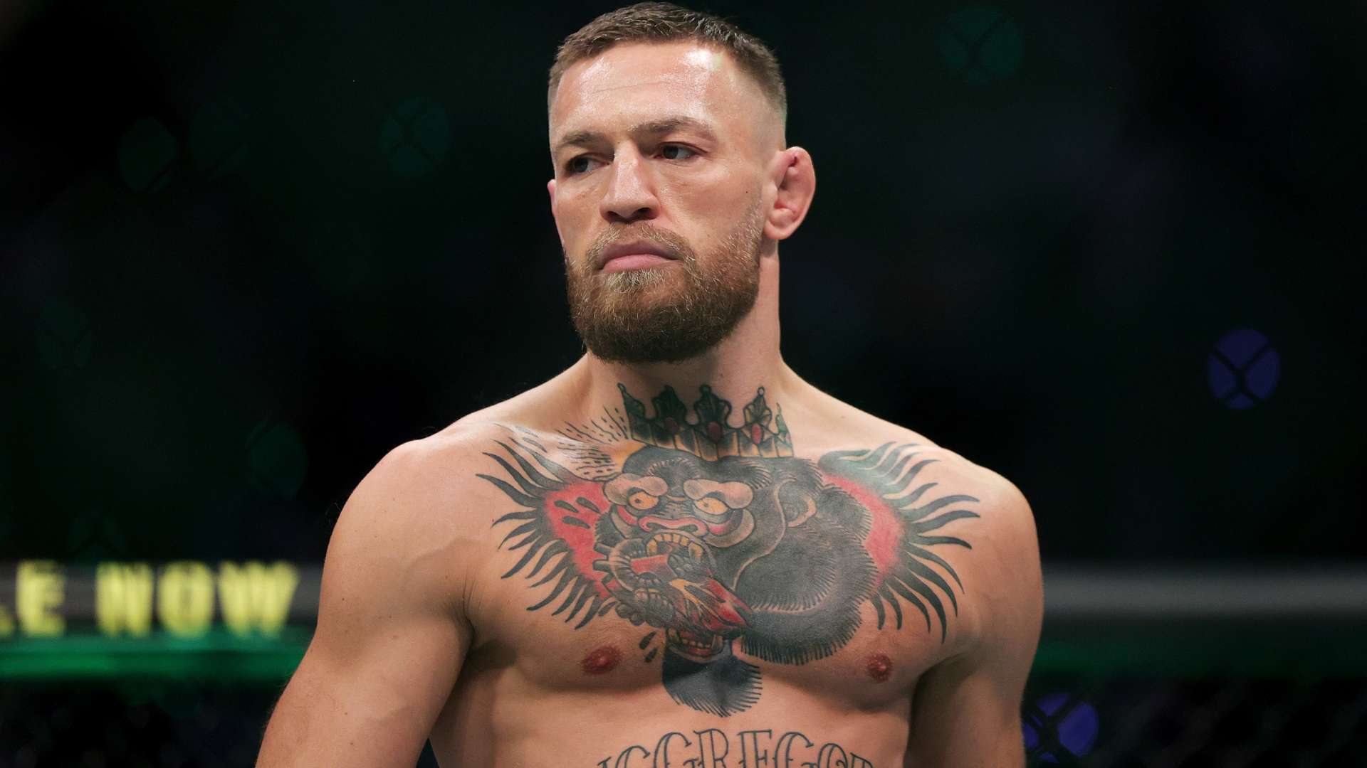 从而增加了 从而增加了